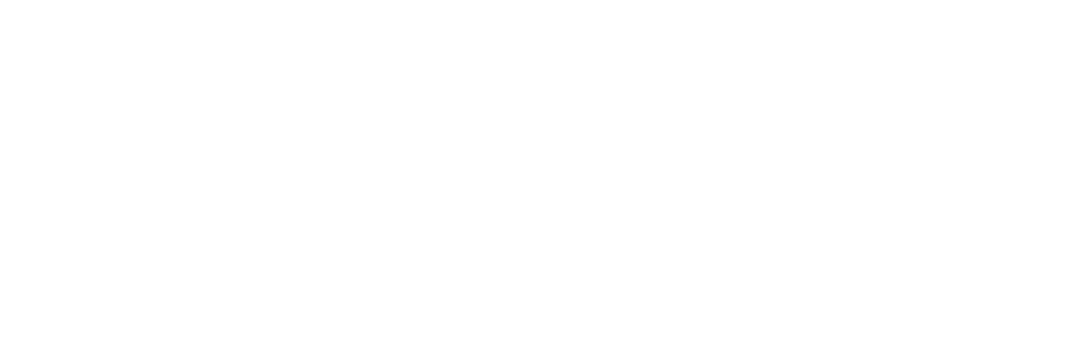 NEXUS artificial intelligence